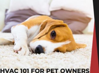 Pet Owners HVAC Maintenance Tips